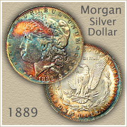 1889 Morgan Silver Dollar Value | Discover Their Worth