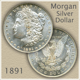 1891 Morgan Silver Dollar Value | Discover Their Worth