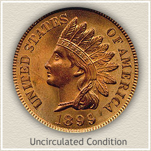 1877 indian head penny for sale