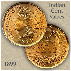 1899 Indian Head Penny Value | Discover Their Worth