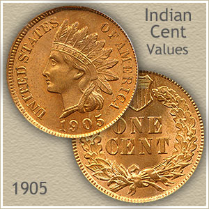 Download 1905 Indian Head Penny Value | Discover Their Worth