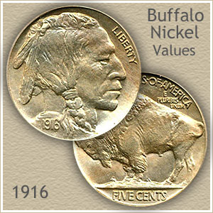 Download 1916 Nickel Value | Discover Your Buffalo Nickel Worth