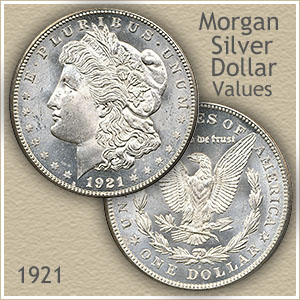Coin Value Checker - Penny Value, Nickel Value, Dime Value, Quarter Value, Half Dollar Value