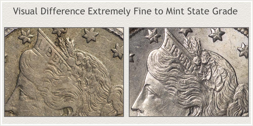 Close Look at Differences Extremely Fine to Mint State Grade
