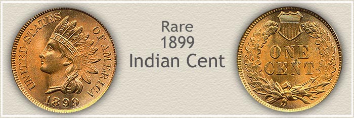 Rare 1899 Indian Penny