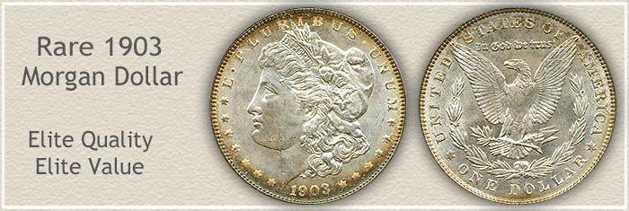 1903-morgan-silver-dollar-value-discover-their-worth