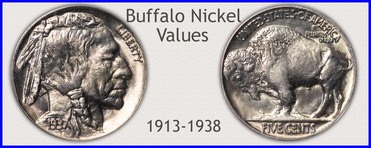 Buffalo nickel value chart