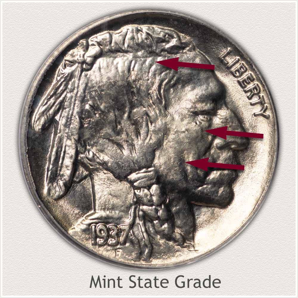 Grading Buffalo Nickels  How to Video-Images-Descriptions