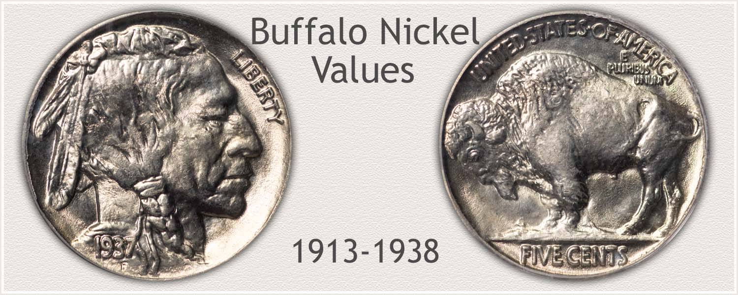 Buffalo Head Nickel