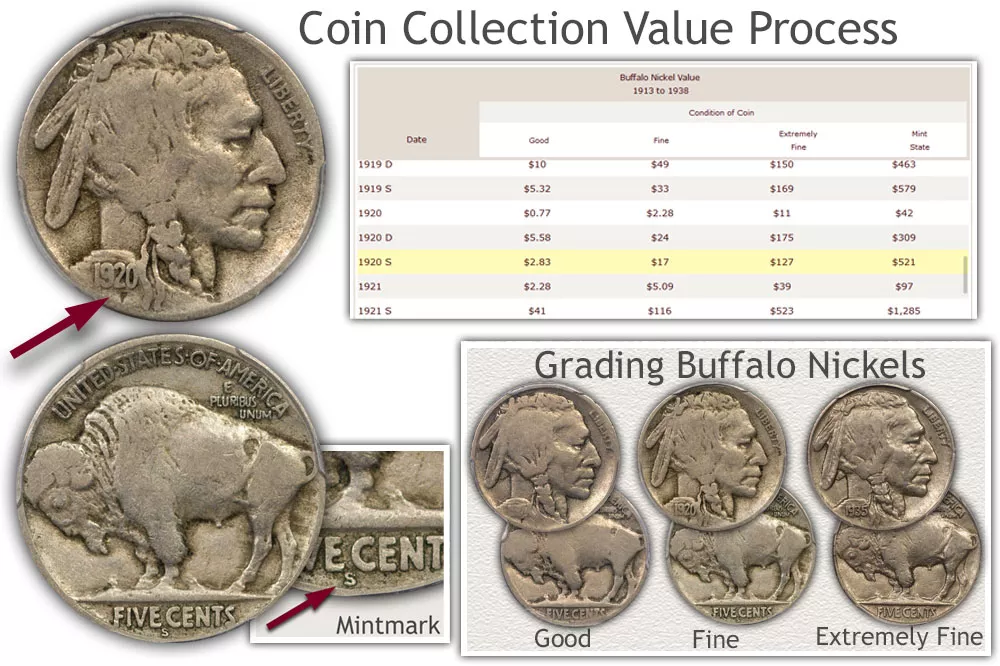 Infographic of the Coin Collection Value Process