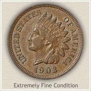 Indian Head Penny Extremely Fine Condition